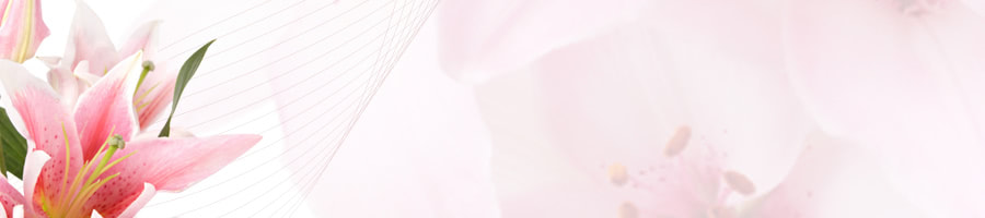 ��N�O�͕����ݏZ�ł��B�o�ςƎd���ɂ��Ă̍l�����B